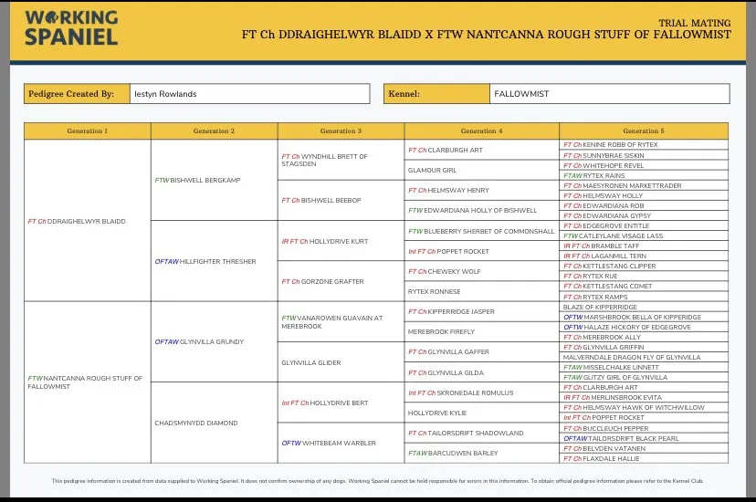 FTW X FTCH ESS PUPS image 5